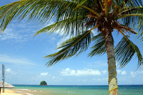 Tioman island  Malaysia ..