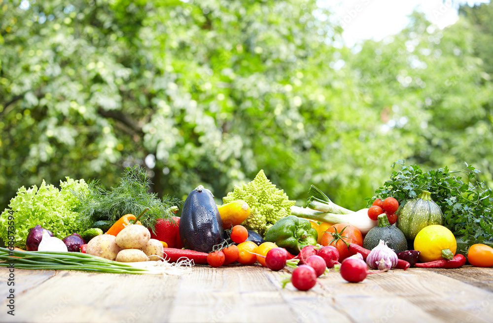 Fresh organic vegetables ane fruits on wood table in the garden