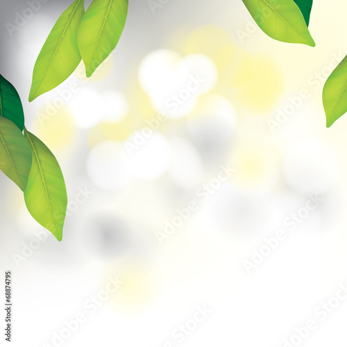 Vector Beautiful Spa Background with Leafs