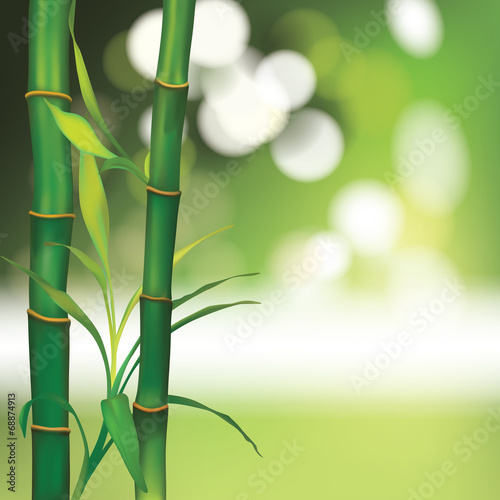 Fototapeta Naklejka Na Ścianę i Meble -  Vector Beautiful Spa Background with Bamboo