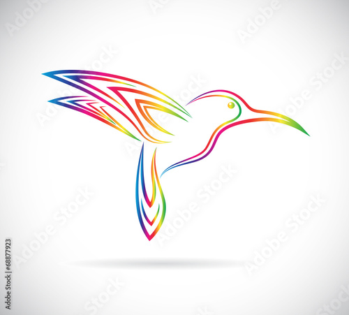 Vector image of an hummingbird design