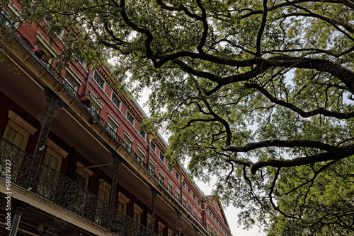 French Quarter 5