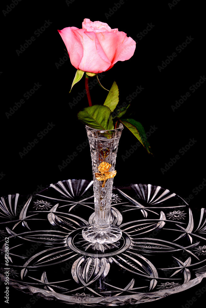 Ping rose in crystal vase - obrazy, fototapety, plakaty 