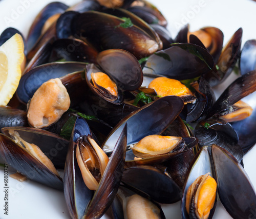 Mussels cooked in vine photo