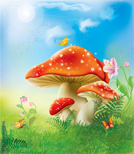 red magic mushrooms