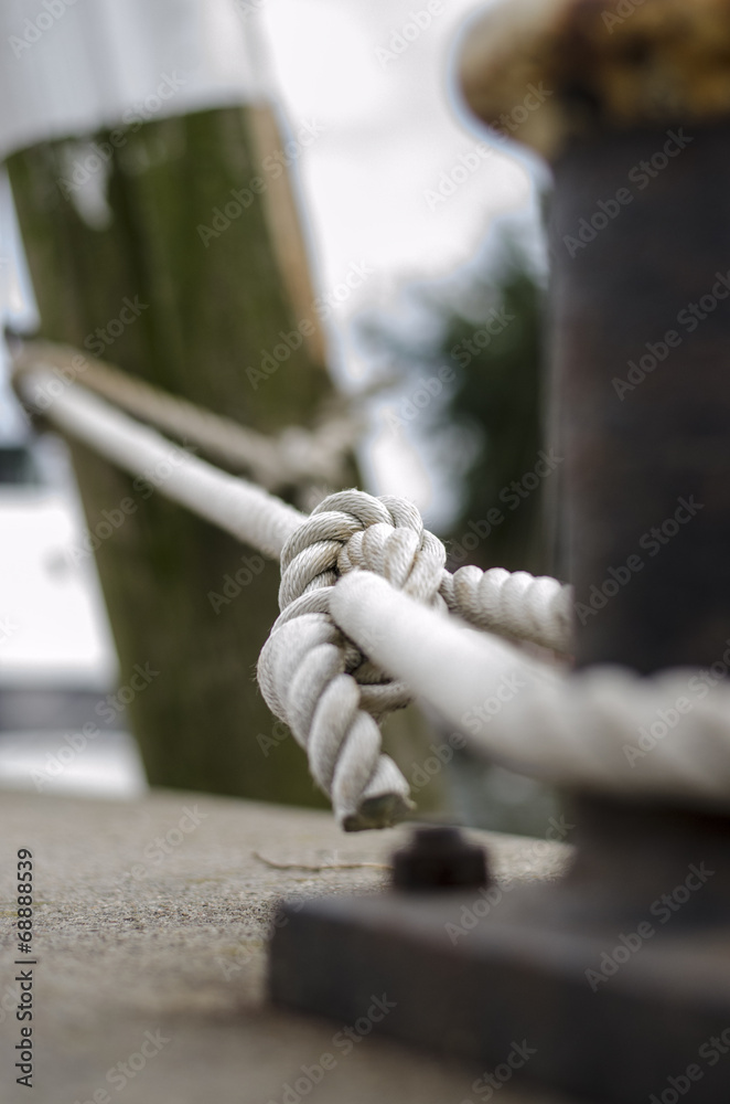 Obraz premium Poller