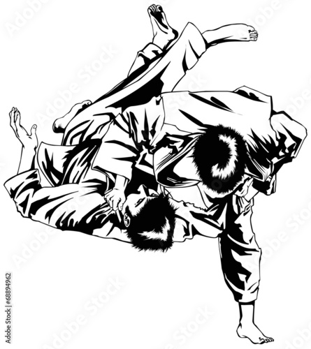 Judo fight