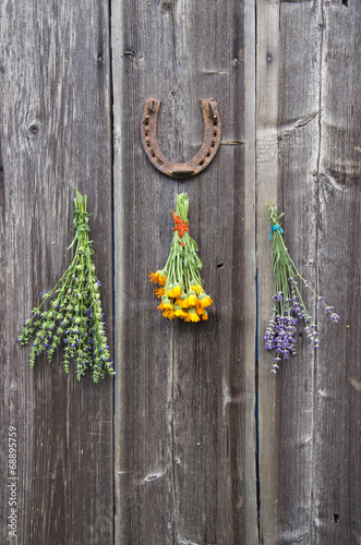 fresh medical herbs lavender  marigold  and hyssop on  wall