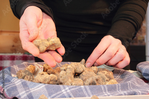 festa del tartufo savigno bologna photo