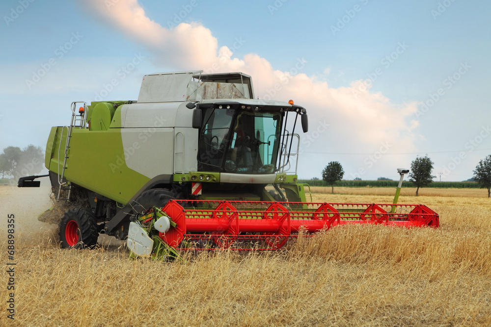 Fototapeta premium Wheat field with harvester