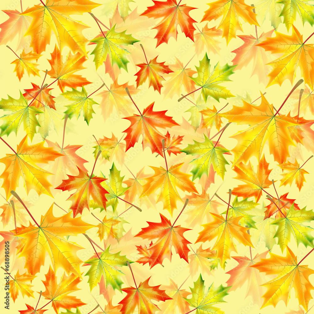 Autumn background with maple leaves Autumn background with maple leaves