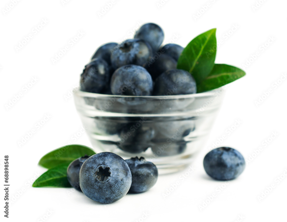 fresh blueberries fresh blueberries