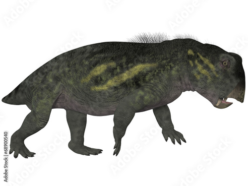 Lystrosaurus- 3D Dinosaur © Andreas Meyer