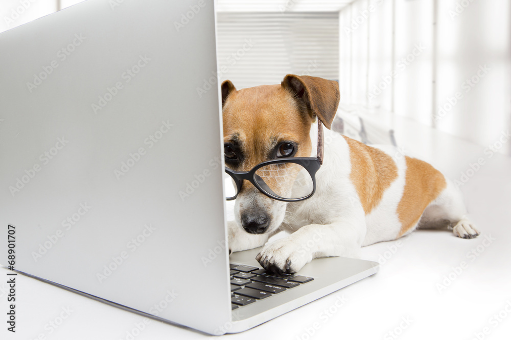 computer dog Stock Photo | Adobe Stock
