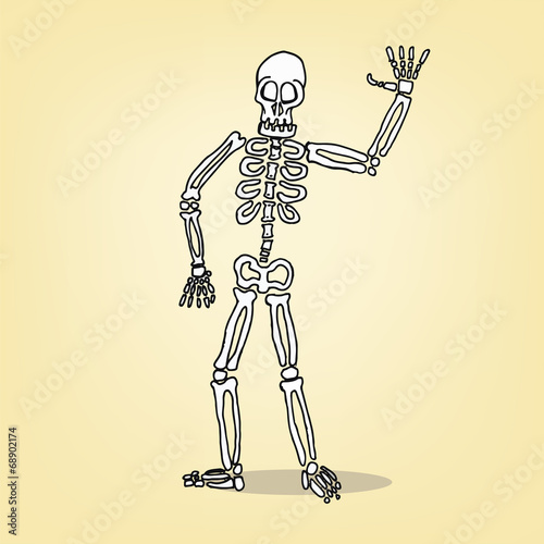 cartoon skeleton