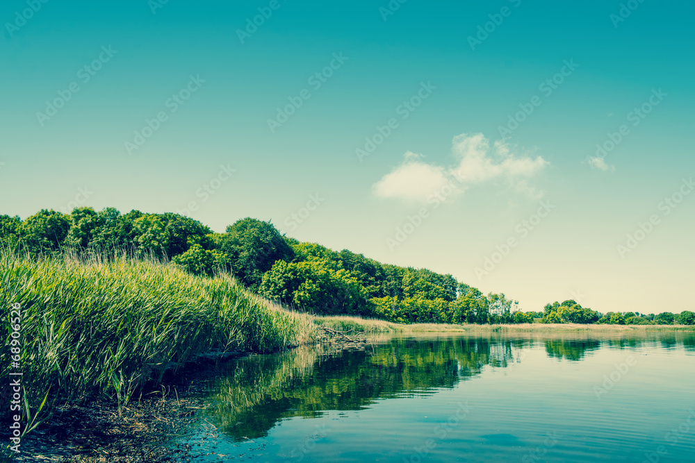 Lake scenery with green trees Lake scenery with green trees