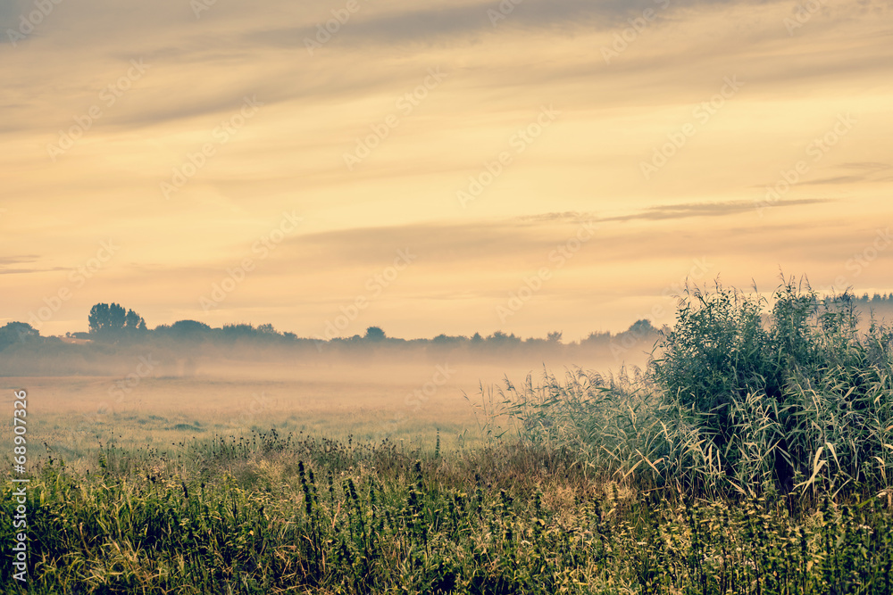 Fototapeta premium Sunrise over a misty field