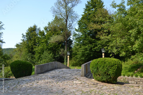 Small stone bridge with bushes photo