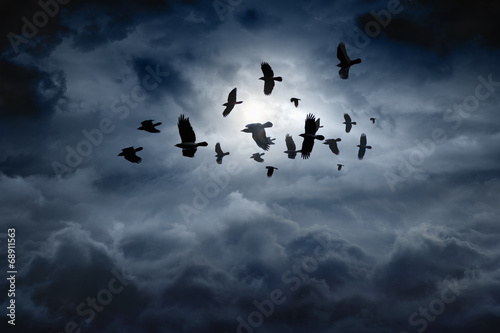 Canvas Print Flying ravens