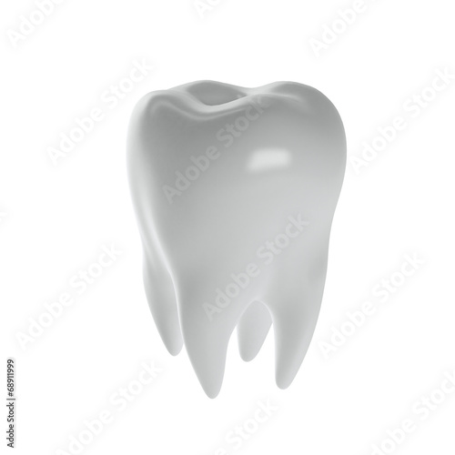 human tooth on a white background