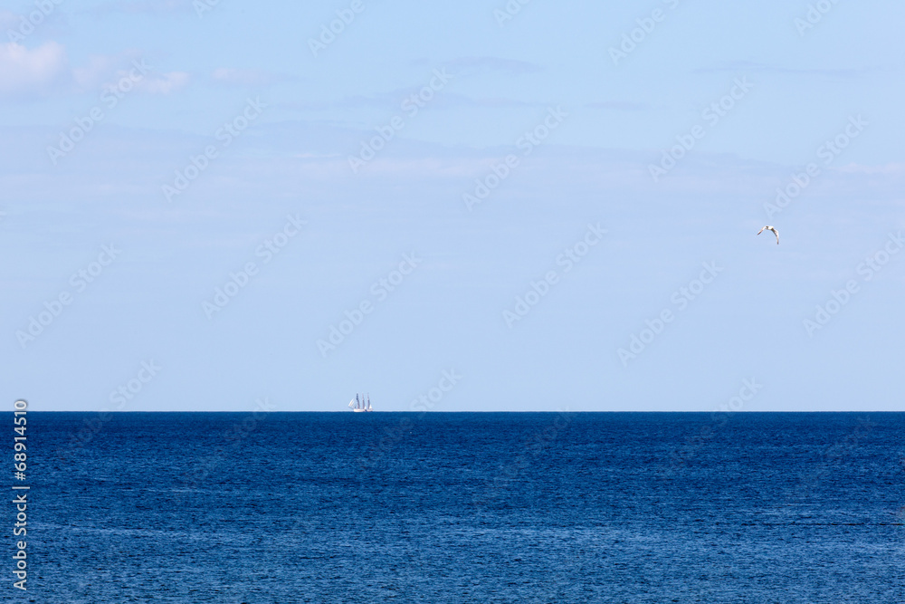 Obraz premium Segler am Horizont