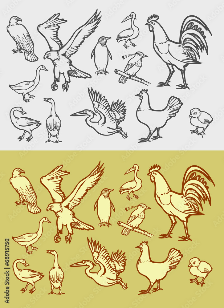 Fototapeta premium Poultry icons sketch and vintage style