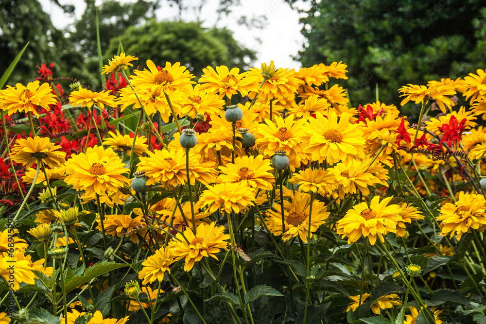 Giardino Botanico Dublino Giardino Botanico Dublino