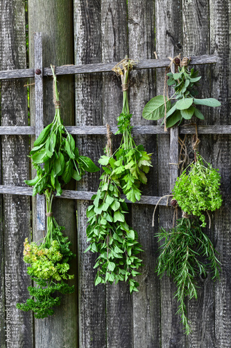 Set of herbs hanging and drying on a wooden fence