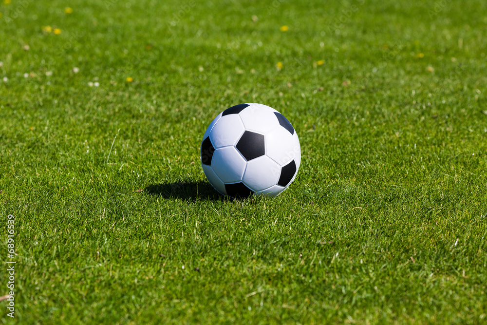 Green pitch with soccer ball