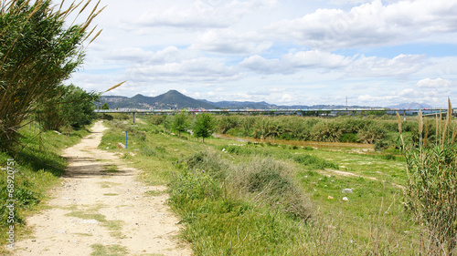 Camino en el Parque Natural del Delta del Llobregat