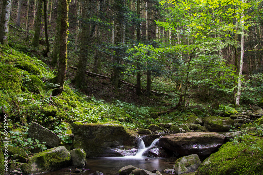 Fototapeta premium Cascata al Parco Nazionale delle Foreste Casentinesi