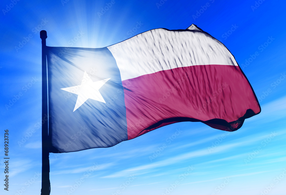 Fototapeta premium Texas (USA) flag waving on the wind