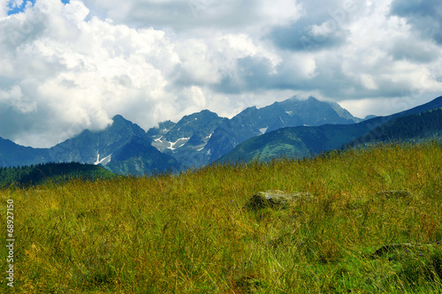 Meadow in the mountains