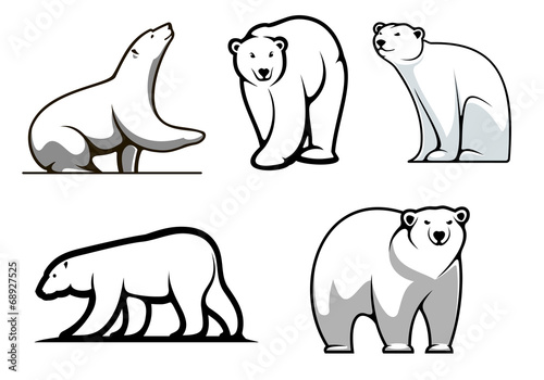 White polar bears set