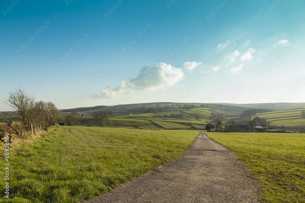 Obraz premium Down The Valley