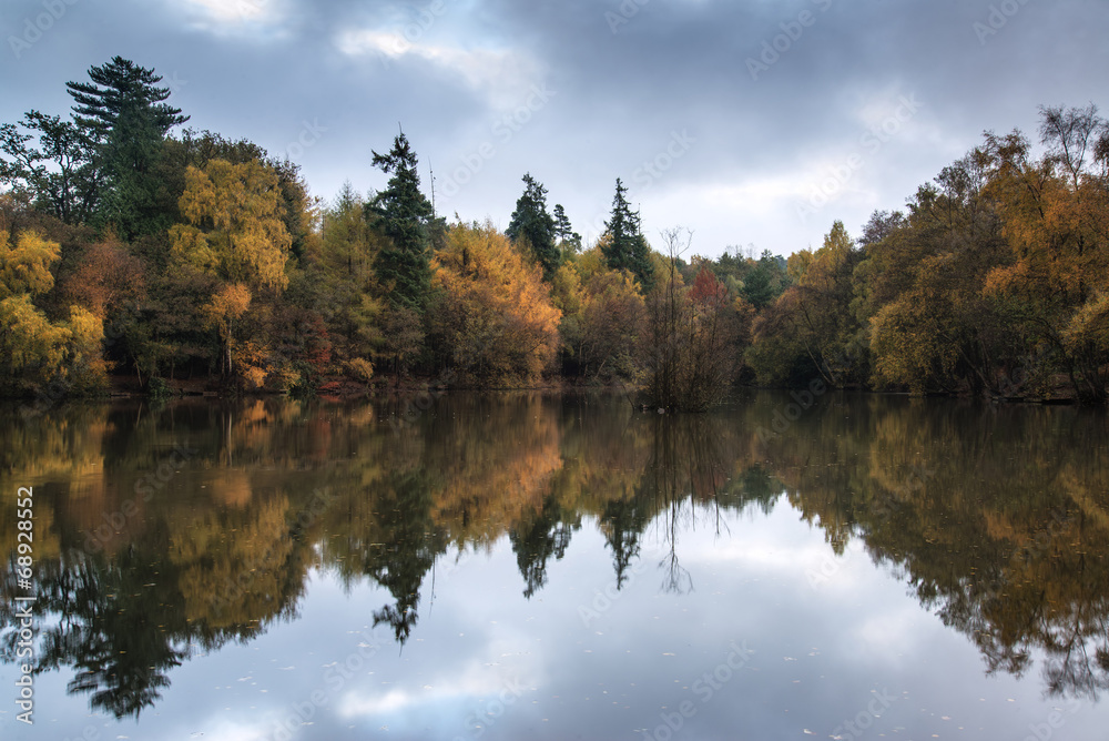 Obraz premium Beautiful vibrant Autumn woodland reflecions in calm lake waters