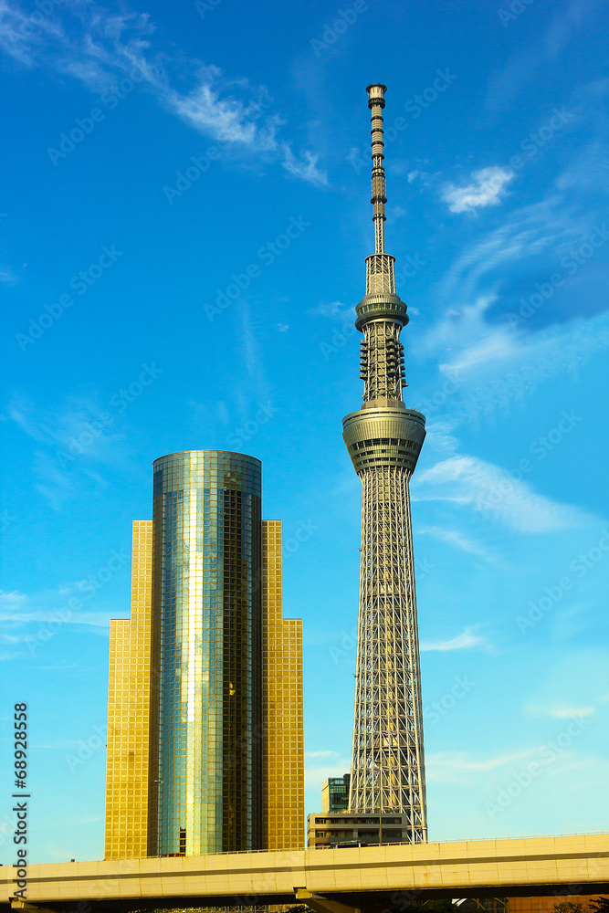 Naklejka premium Tokyo Sky Tower and Asahi Beer Hall building in Tokyo, Japan.