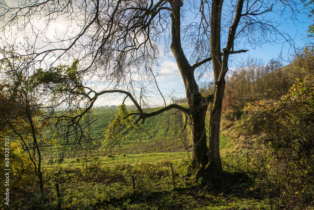 Stunning Autumn sunrise over countryside landscape Stunning Autumn sunrise over countryside landscape