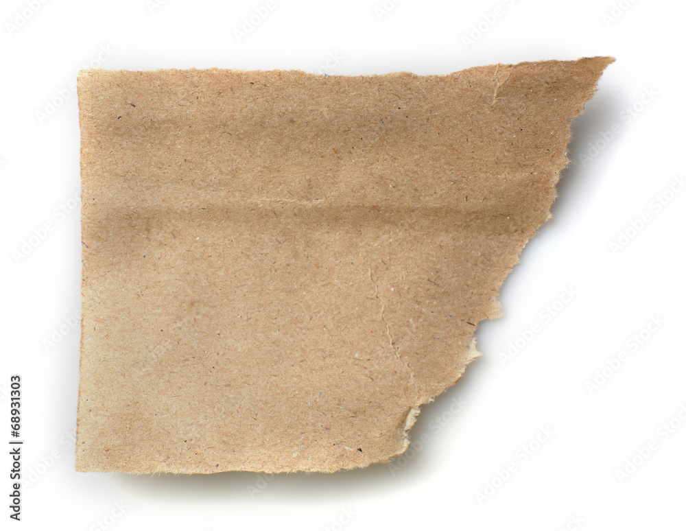 Obraz premium Torn blank paper isolated on white