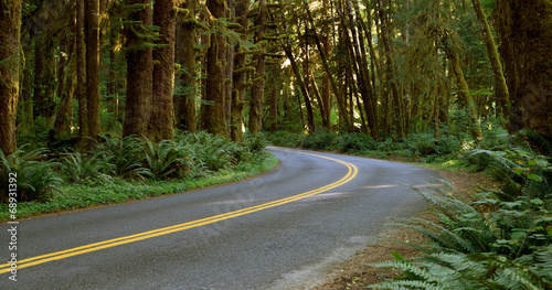 Two Lane Road Cuts Through Rainforest #68931392