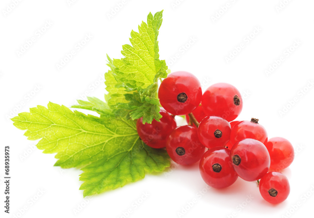 Red currants Red currants