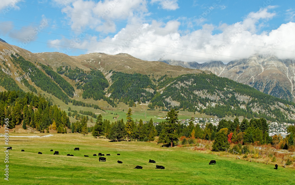 View to the mountain. View to the mountain.
