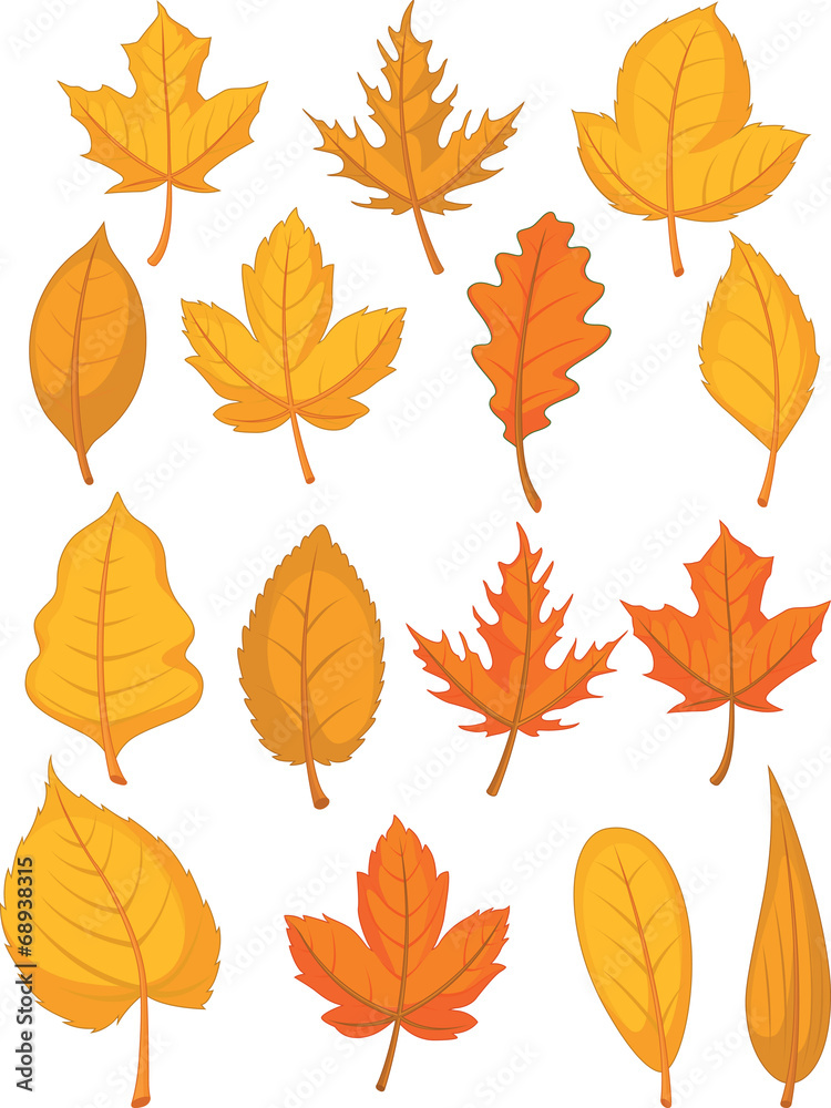 Fototapeta premium Leaves Set - Red Autumn Leaves