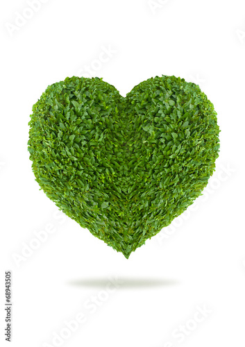 Heart of green leaves on a white background