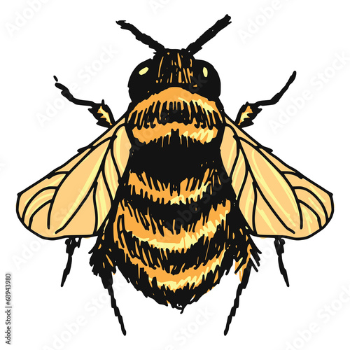 bumblebee
