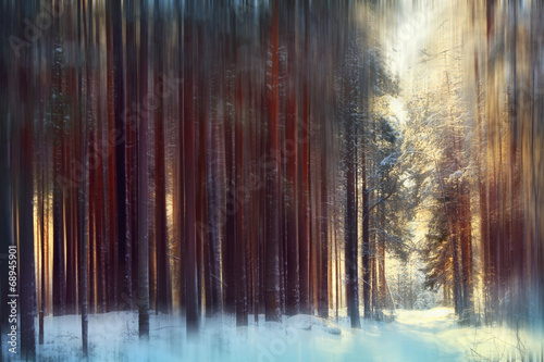 magical winter forest, a fairy tale, mystery