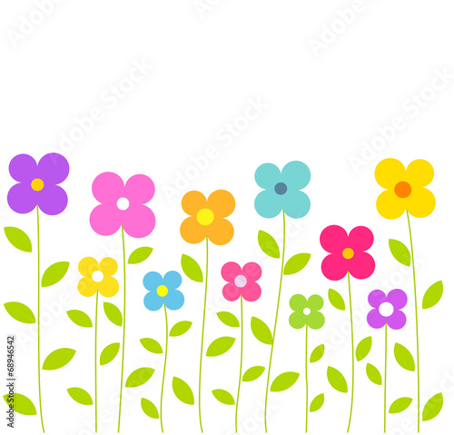 Cute colorful flowers