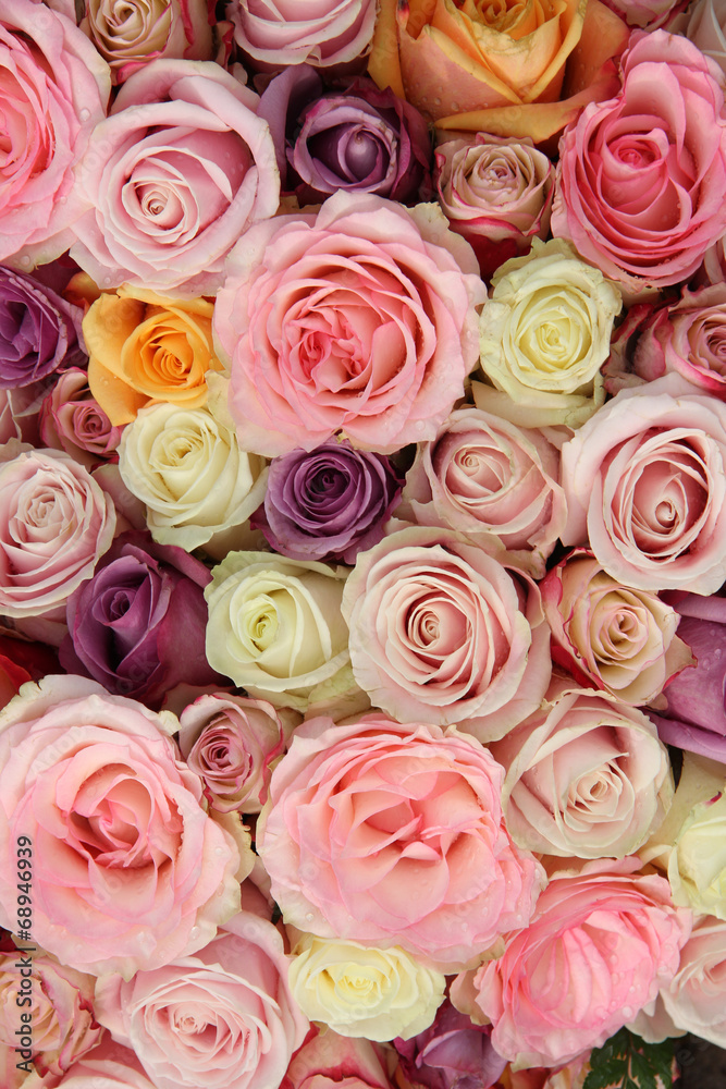 Mixed pastel roses Mixed pastel roses
