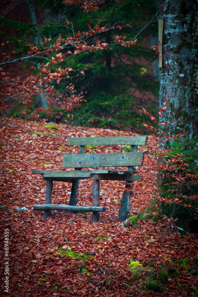 Naklejka premium Bench in a red leaves forest