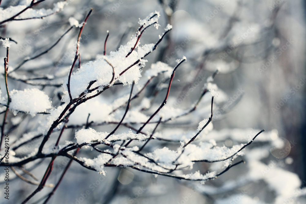 winter, snow on the branches of a tree, patterns